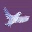 lrgdove05.gif (2827 bytes)