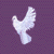smalldove05.gif (1887 bytes)
